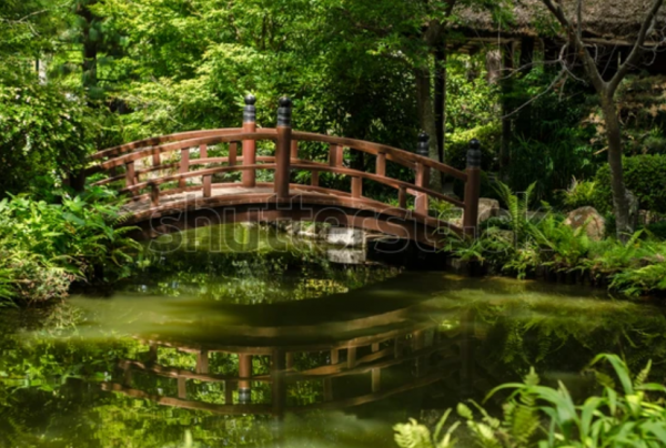 Jembatan kayu melintasi kolam